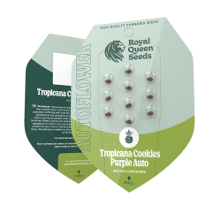 Tropicana Cookies Purple...