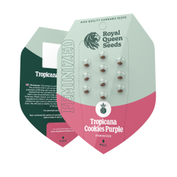 Tropicana Cookies Purple...