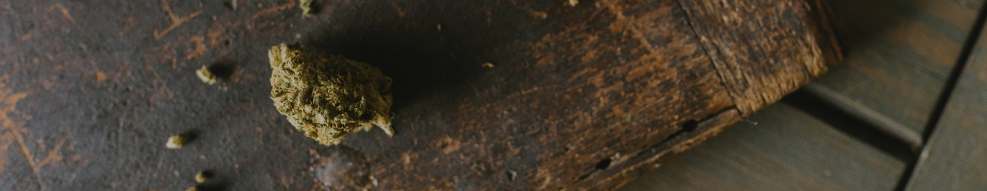 Qualität aus der Natur – fachkundig ausgewählt.